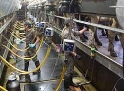 Factory engine operators