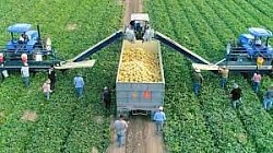 Farm managers